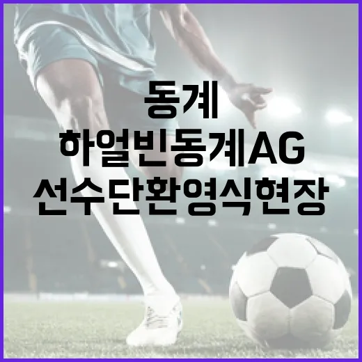 하얼빈 동계AG 한…