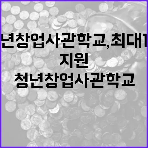 청년창업사관학교, …
