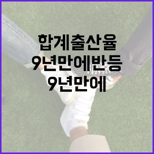 9년 만에 반등한 합계출산율, 희망의 신호탄