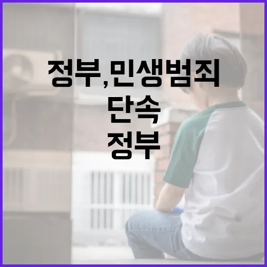 정부, 민생범죄 합…