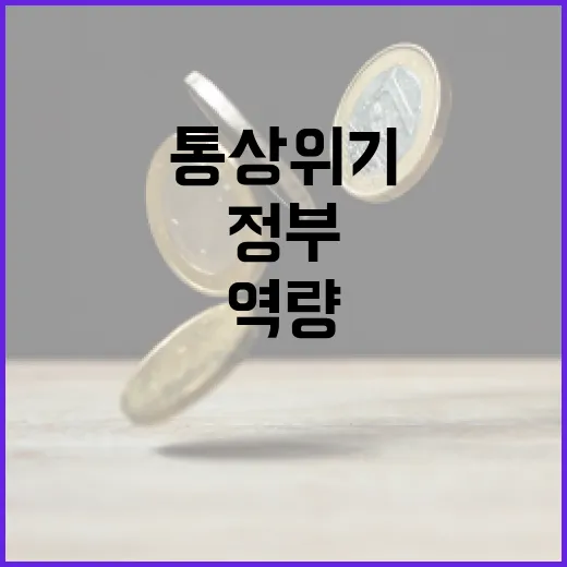 통상위기 정부 역량 총집중
