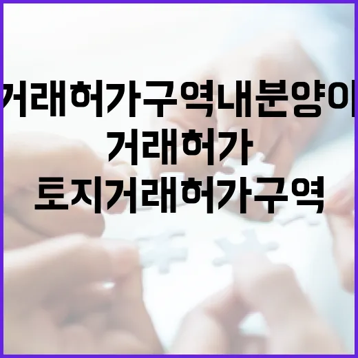 토지거래허가구역 내…