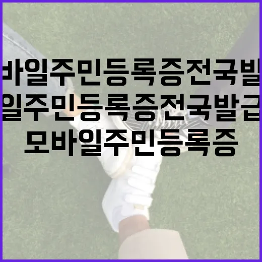 모바일 주민등록증 전국 발급 시작