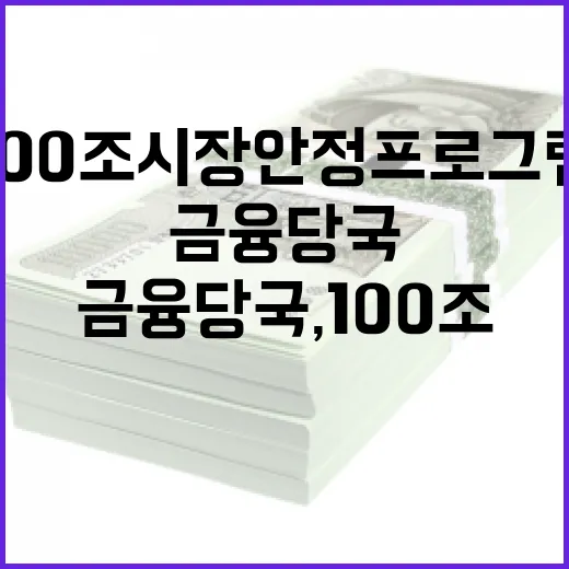 금융당국, 100조…