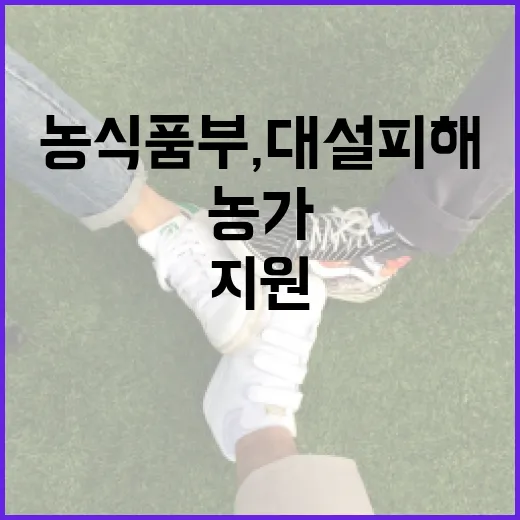 농식품부, 대설 피해 농가 지원 현황 직접 해명