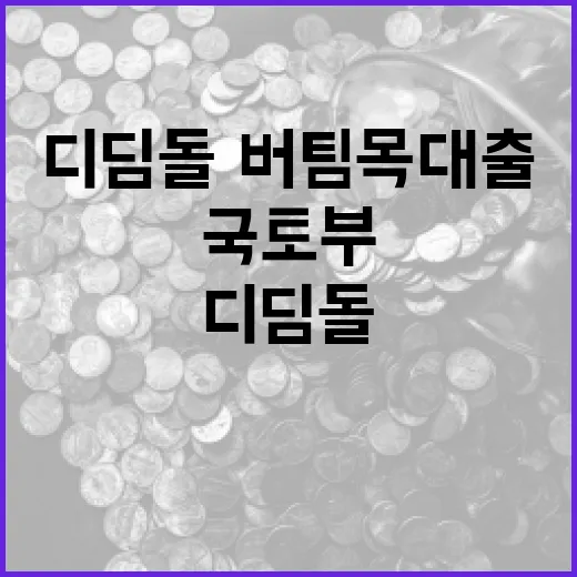 국토부, 디딤돌·버…