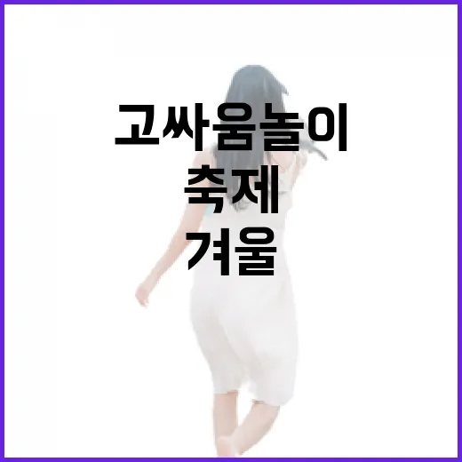 겨울 지역 축제 특…