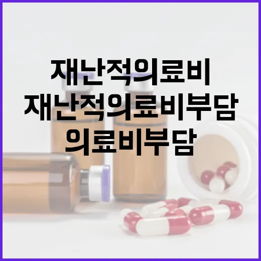 재난적의료비 부담, 정부가 함께합니다