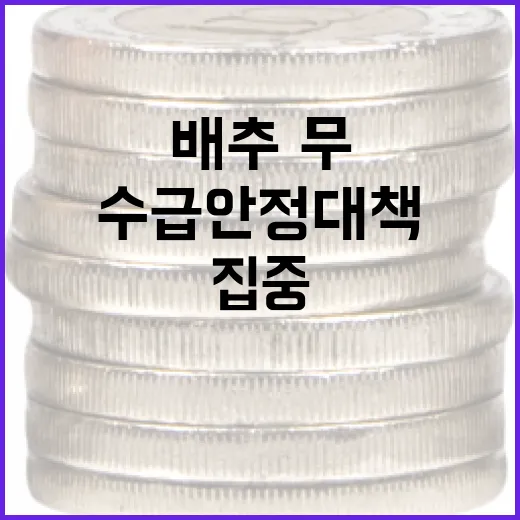 배추·무 수급 안정 대책 집중 추진