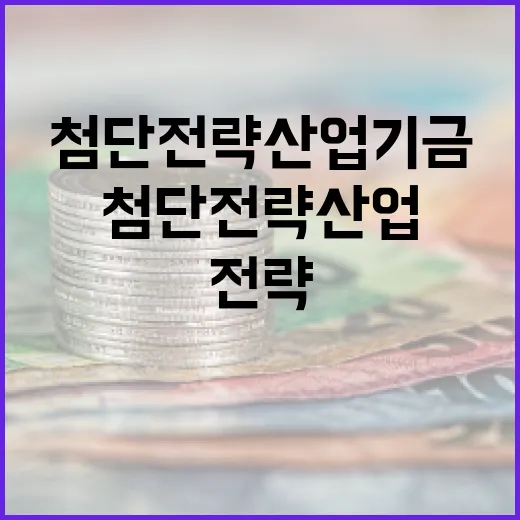 기재부, 첨단전략산…