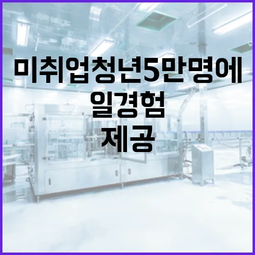 미취업 청년 5만 …