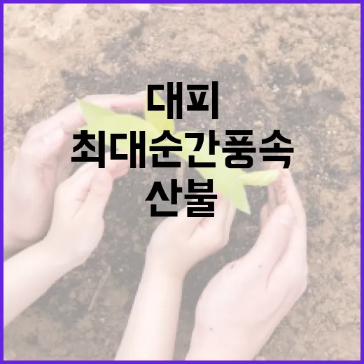 최대순간풍속 반영 …