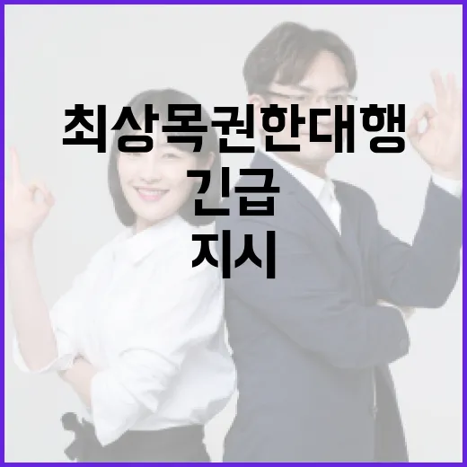 최상목 권한대행, 양주 ASF 긴급 방역 지시