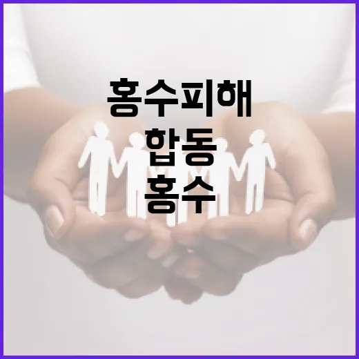 민관 합동 홍수 피…