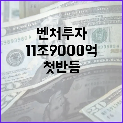 작년 벤처투자 11…