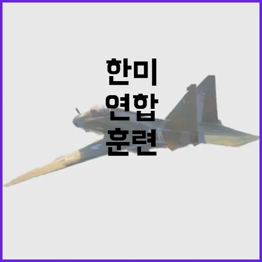 한미 연합 화생방훈련으로 대응력 대폭 강화