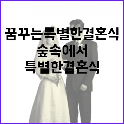 숲속에서 꿈꾸는 특…