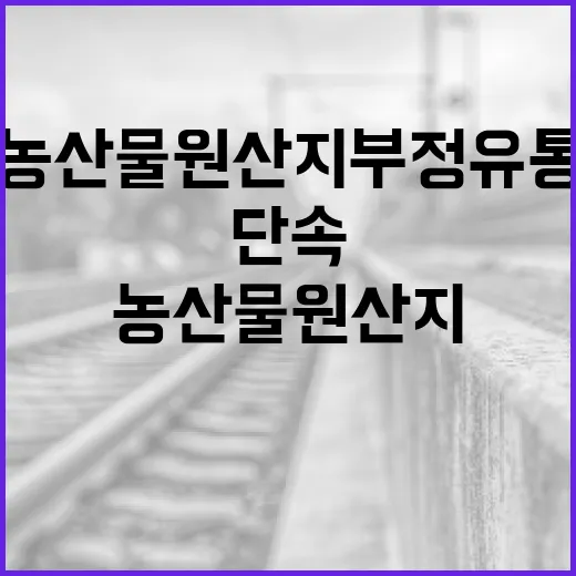 농산물 원산지 부정…