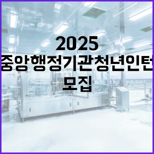 2025 중앙행정기관 청년인턴 대규모 모집