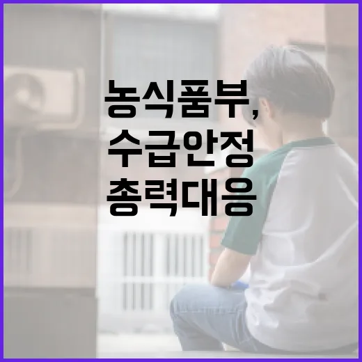 농식품부, 채소 수급 안정 총력 대응