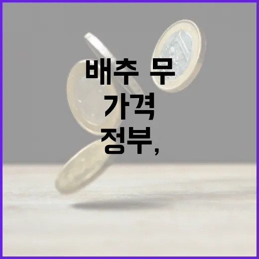 정부, 배추·무 비…