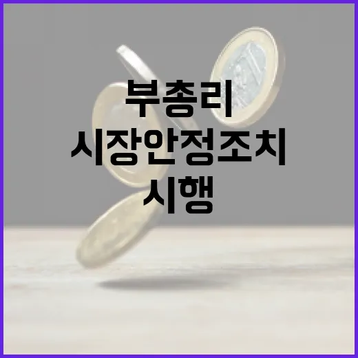 최 부총리, 시장안…
