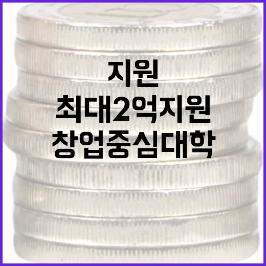 창업중심대학, 77…