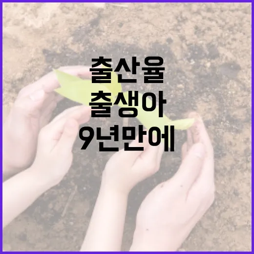 9년 만에 출생아 증가와 출산율 반등