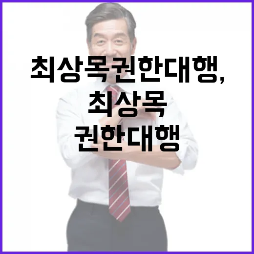 최상목 권한대행, …