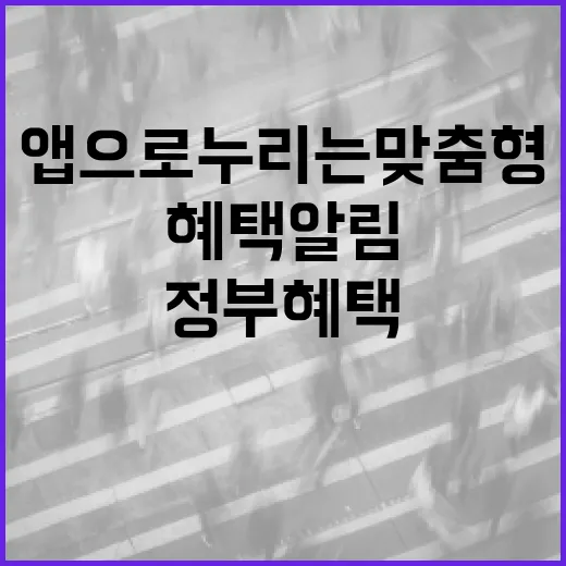 중장년 경력지원제,…