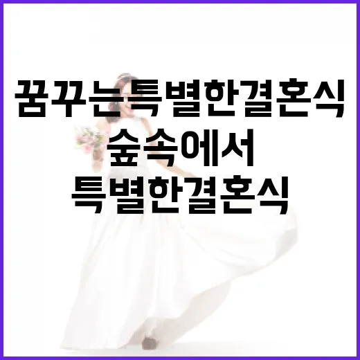 숲속에서 꿈꾸는 특…