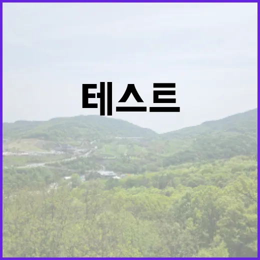 테스트