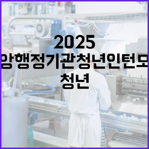 2025 중앙행정기…