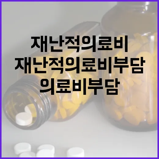 재난적의료비 부담, 정부가 함께합니다