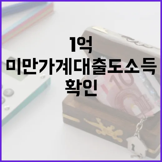 1억 미만 가계대출도 소득확인 강화