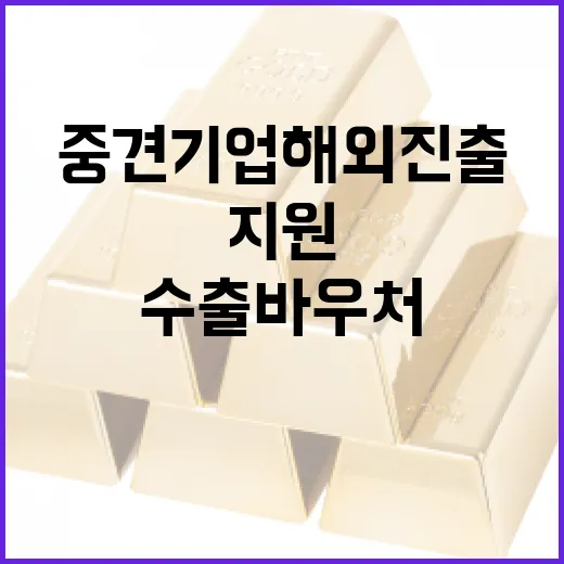 강소·중견기업 해외…