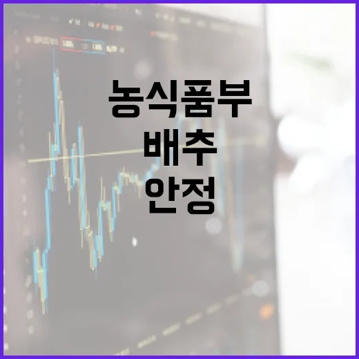 배추·부추 가격 안…