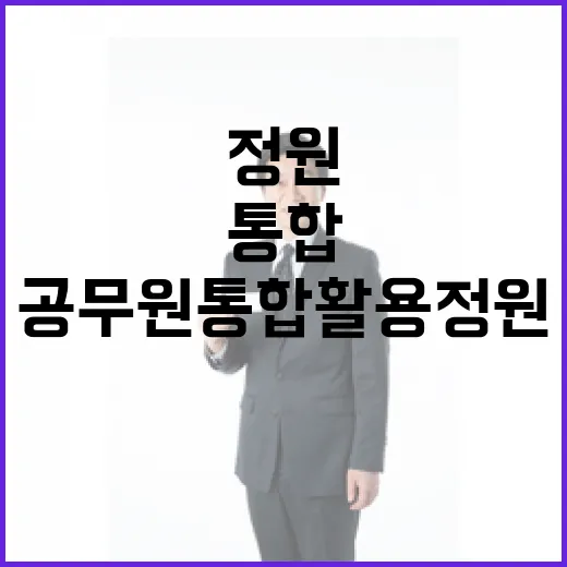행안부 설명, 공무…