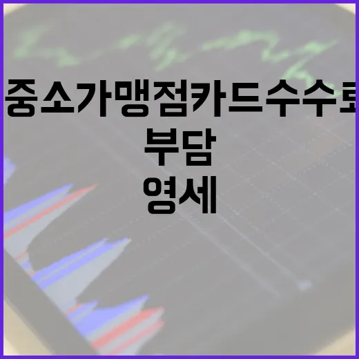 영세·중소가맹점 카…
