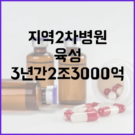 지역 2차 병원 육…