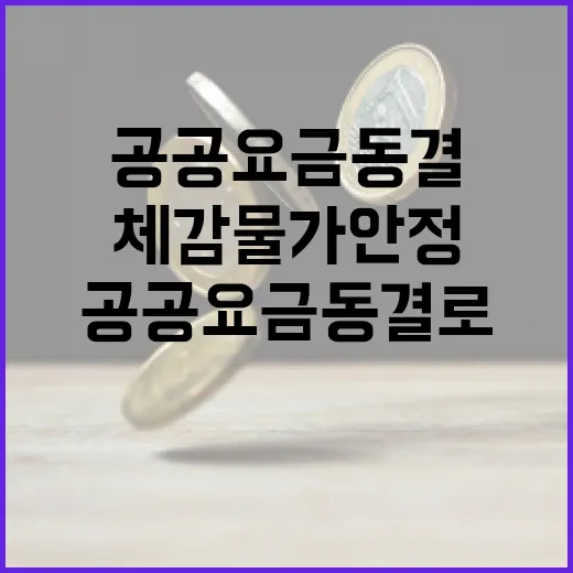 공공요금 동결로 체…