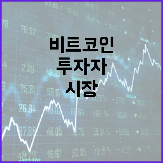 중기 투자자 움직임, 비트코인 시장 흔들다