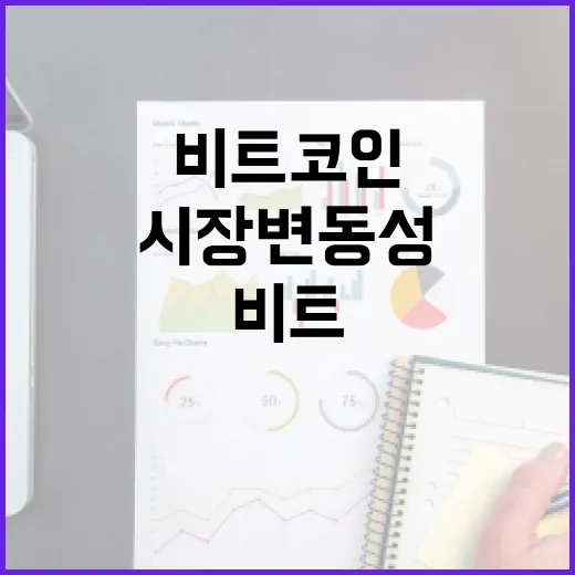 4월 비트코인 중기 투자자 움직임과 시장 변동성