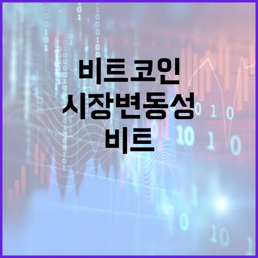 비트코인 중기 투자자 움직임, 시장 변동성 촉발하나