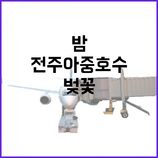 전주 아중호수 밤벚꽃 산책길