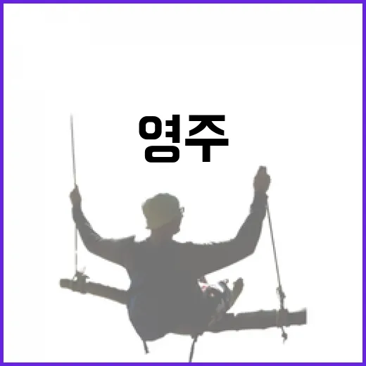 영주 봄 벚꽃 산책…