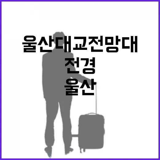 울산대교 전망대에서…