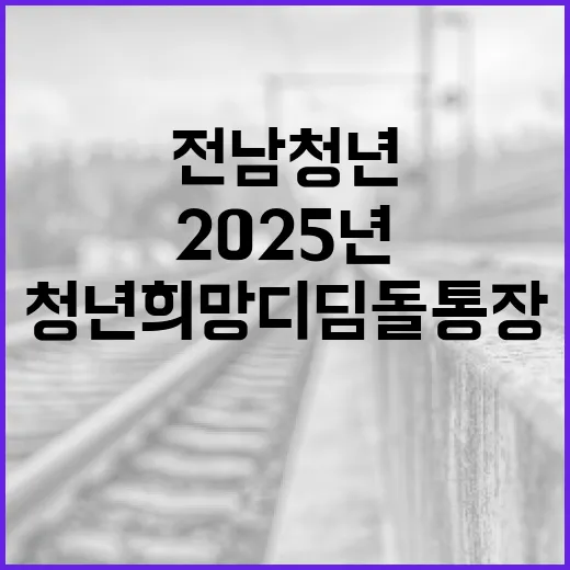 전남 청년 희망디딤…