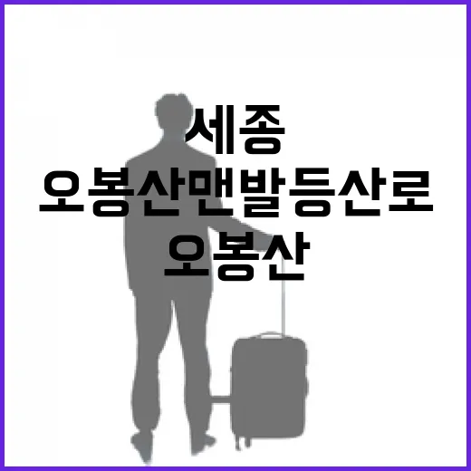 세종 오봉산 맨발등…