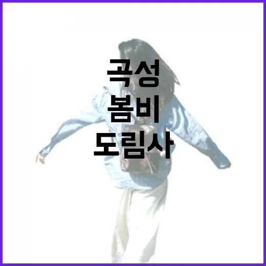 곡성 도림사 봄비 …